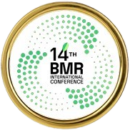 BMR conference Logo